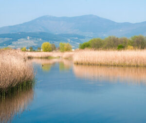 San Felice