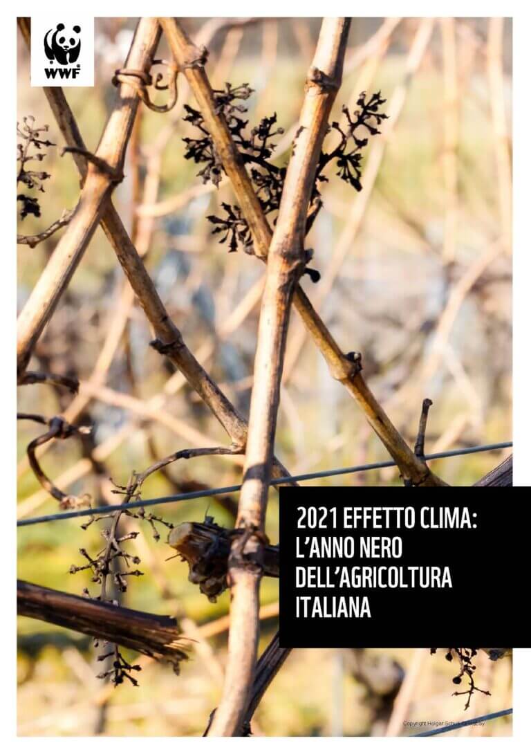 Clima – L’anno nero dell’agricoltura italiana