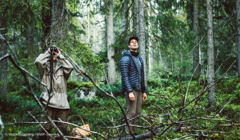Ripristino della natura